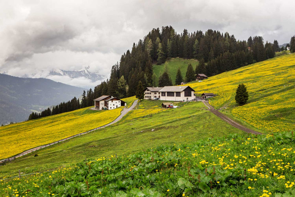 Güterstrassen Churwalden, Ausbau, HMQ AG