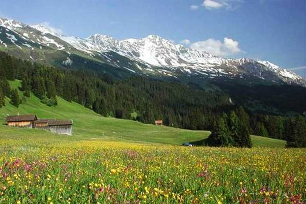 Güterstrassen Churwalden, Ausbau, HMQ AG