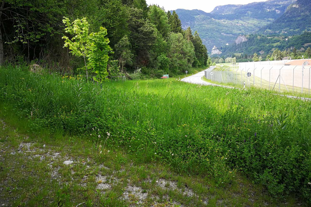 Cazis, Projektierung Rückbau Parkplatz, HMQ AG